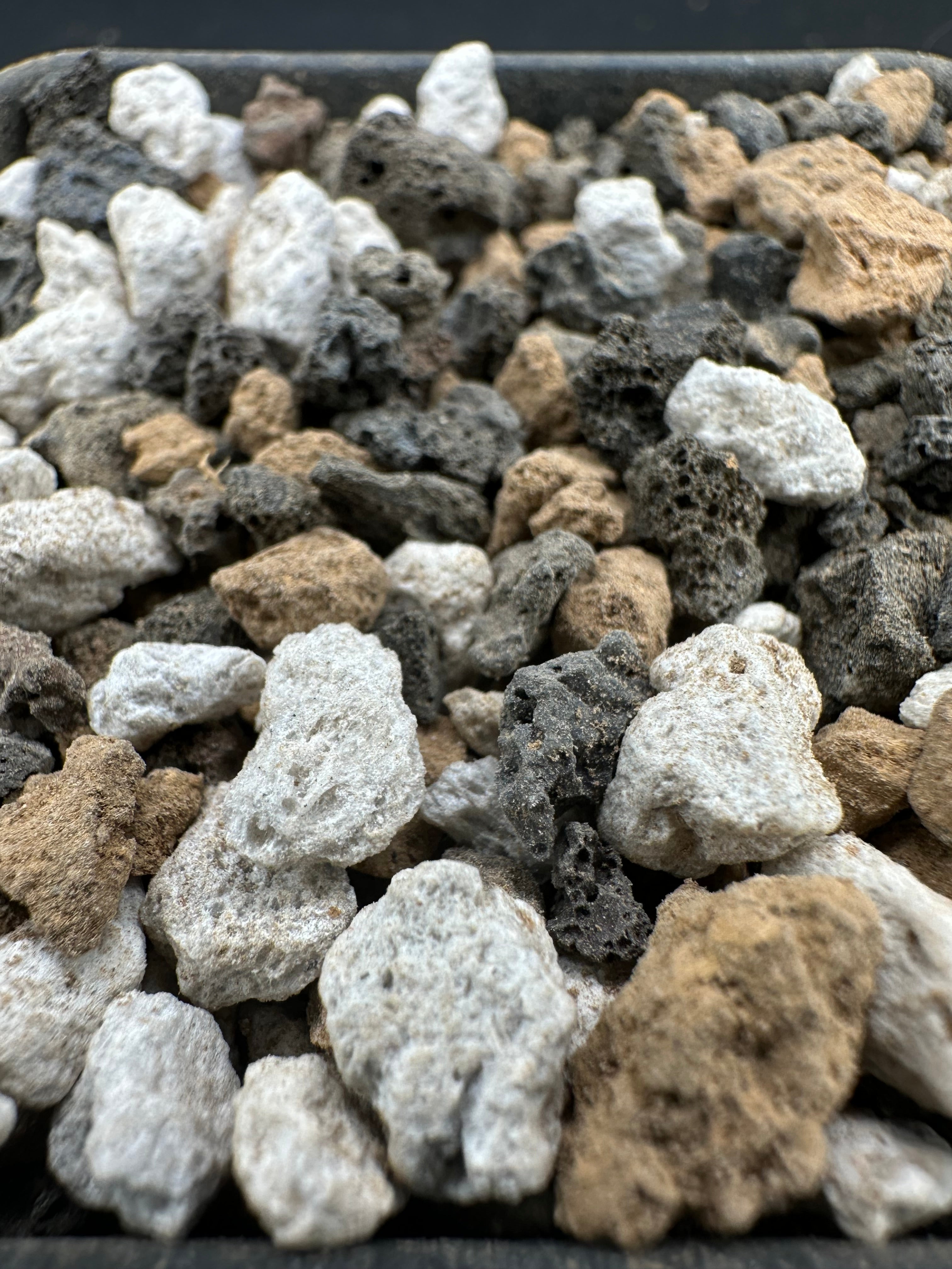 Mexican/Tropical Pinguicula Substrate