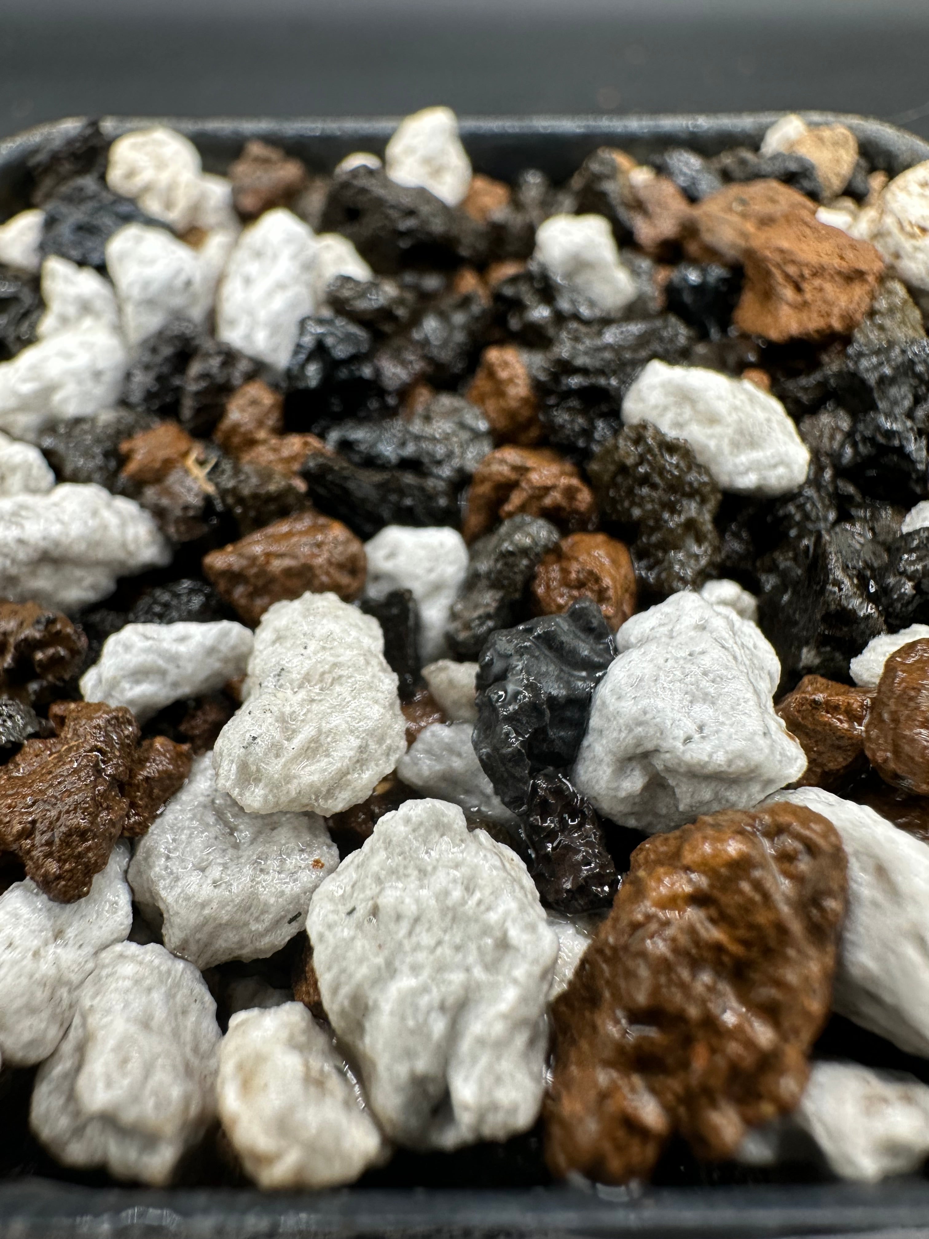 Mexican/Tropical Pinguicula Substrate