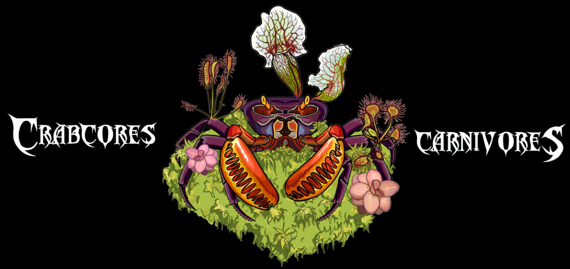 Rare Carnivorous Plants Cultivated in Texas – Crabcore's Carnivores